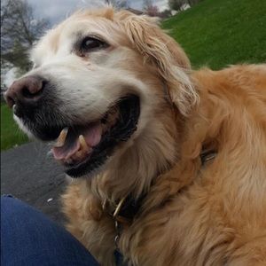 Meet your Posher, Hayley